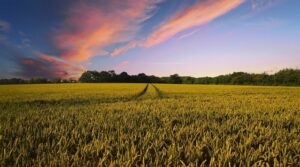 Was ist nachhaltige Landwirtschaft?